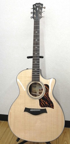 Guitare électrique acoustique