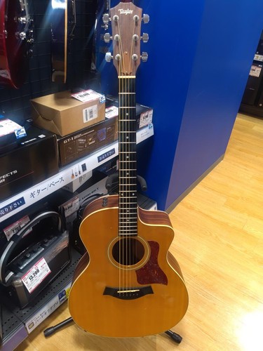 Guitare acoustique électrique