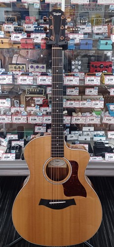 Guitare acoustique électrique